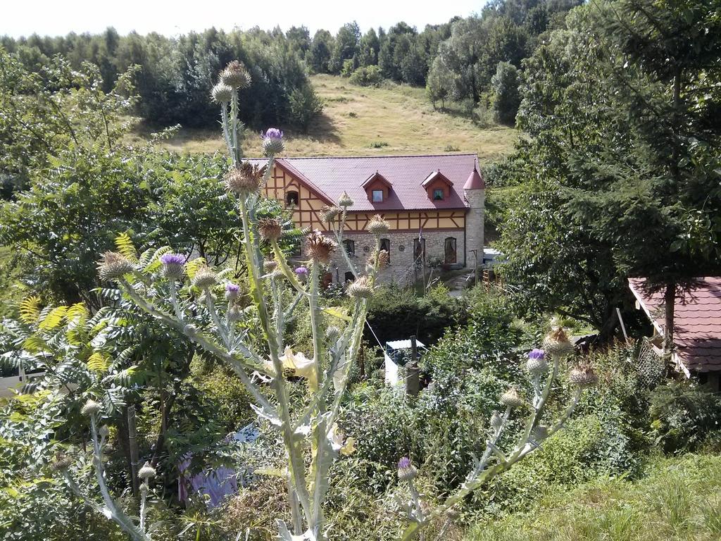 Zbójna Debra Golejów Exterior foto